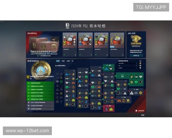 CSGO队伍出现新手无法开始游戏问题解决方案及应对措施分析